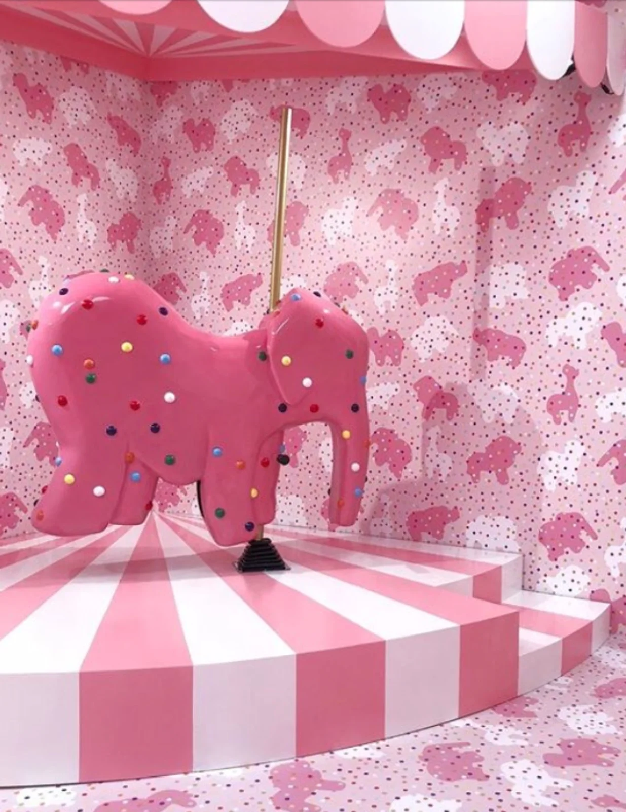 MOIC Animal Cookie Rides